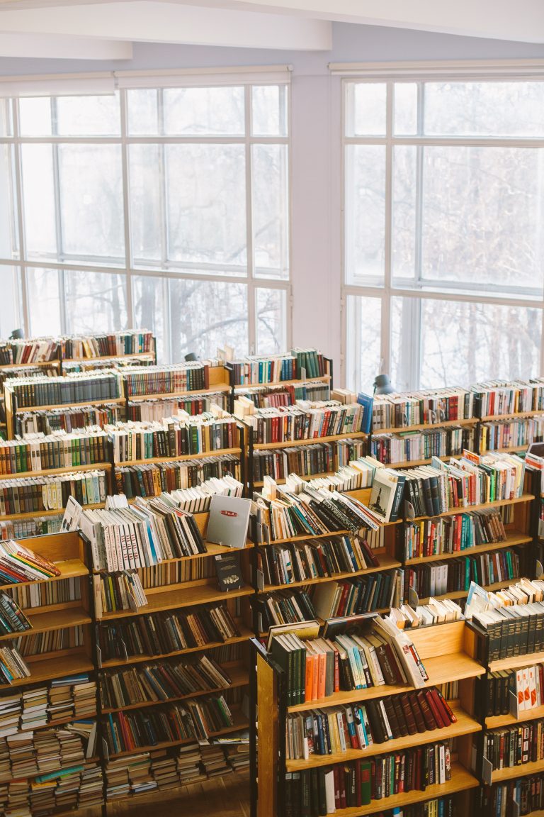 Bookshelves filled with books