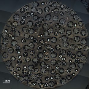 TRISO is a pellet-type fuel which is being investigated for use in next generation 'Pebble-bed' reactors. The image shows a cross-section of the multi-layered spherical fuel kernels.