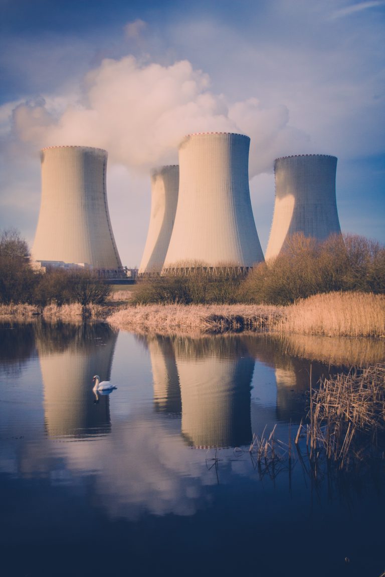 The cooling towers of Temelin nuclear power station as seen from a nearby pond.