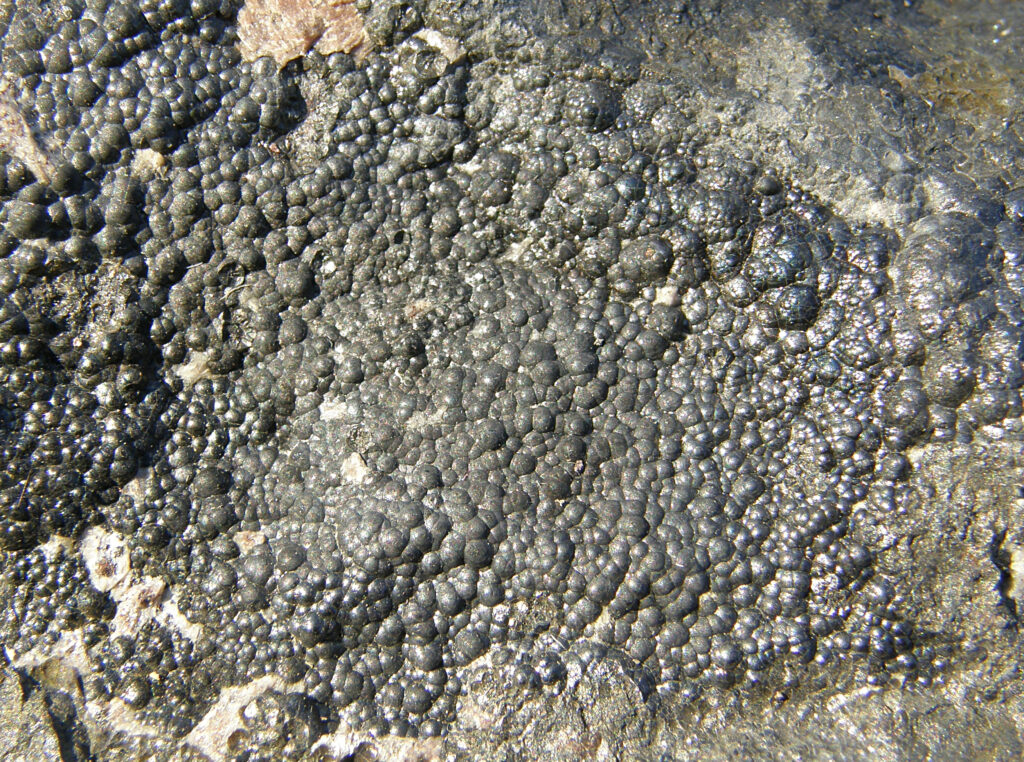A rough, dark mineral specimen of pitchblende (uraninite) with a metallic luster, showcasing its natural radioactive form as a primary source of uranium, extracted through mining.